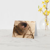 Feltedの巣II カード (黄色い花)