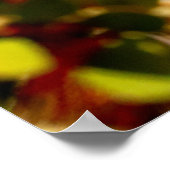 Female Anna's Hummingbird, California, 36x24写真 ポスター (角)