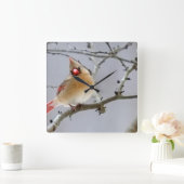 Female_cardinal_clock_v1 スクエア壁時計 (ホーム)
