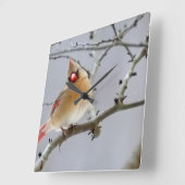 Female_cardinal_clock_v1 スクエア壁時計 (傾斜)