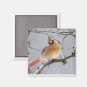 Female_Cardinal_Magnet マグネット (正面/裏面)
