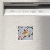 Female_Cardinal_Magnet マグネット (インサイチュ (食洗機))