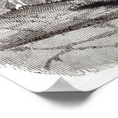 Female Drawer in a Coal-Pit at Little Bolton ポスター (角)