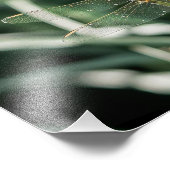 Female Keeled Skimmer Dragonfly フォトプリント (角)