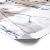 Female Northern Harrier ポスター (角)