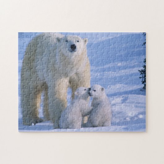 Female Polar Bear Standing with 2 Cubs ジグソーパズル (横)