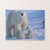 Female Polar Bear Standing with 2 Cubs at her ジグソーパズル (横)