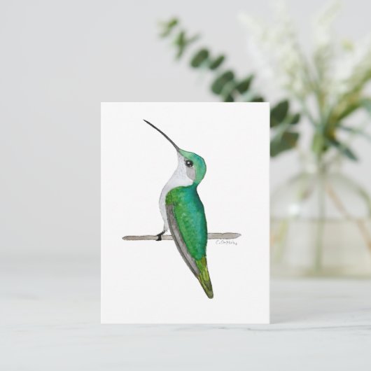 Female Ruby-throated Hummingbird ポストカード (スタンド正面)