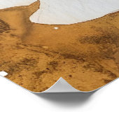 female ruby-throated hummingbird white blossoms ポスター (角)