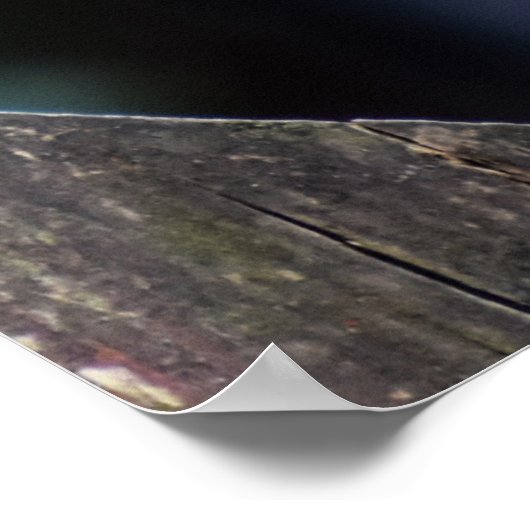 Female Sparrowhawk ポスター (角)