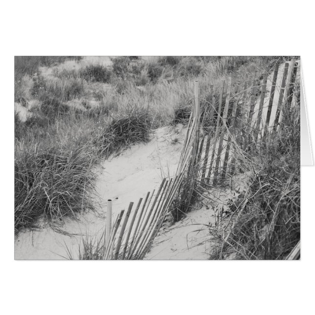 「Fence and Dunes」コレクション (正面横)