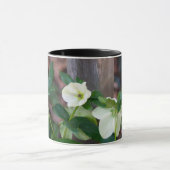 Fence with White Flowers マグカップ (中央)