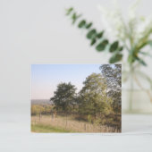 Fenced Hilltop 2004写真 ポストカード (スタンド正面)