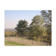 Fenced Hilltop 2004写真