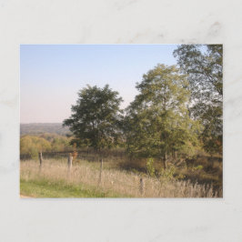 Fenced Hilltop 2004写真 ポストカード