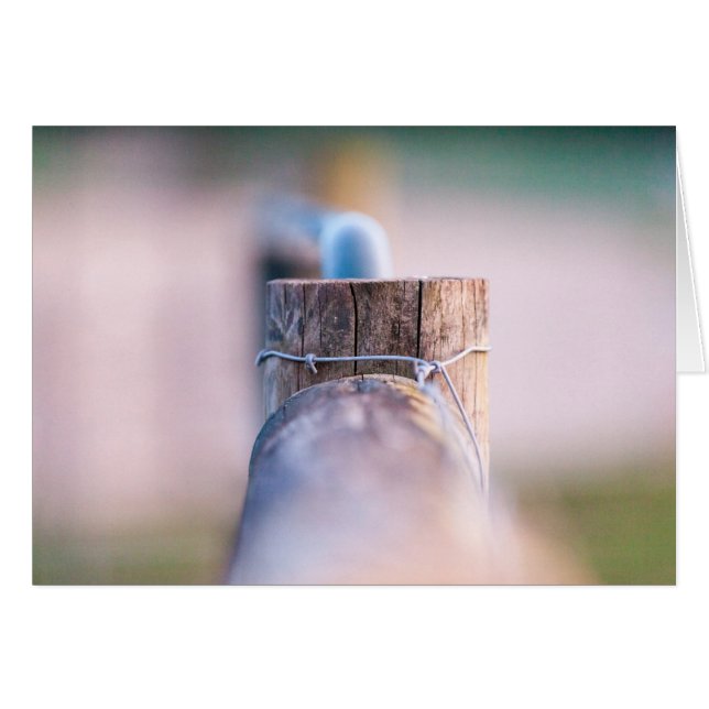 Fencelineの詳細 (正面横)