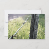 Fencepost、Barbed Wire 素朴 rsvp、封筒付き 出欠カード (裏面)