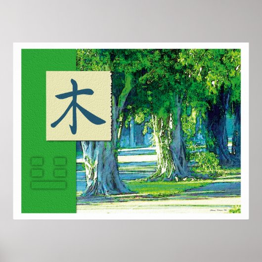 Feng Shui: Bagua Images: Wood Landscape ポスター (正面)