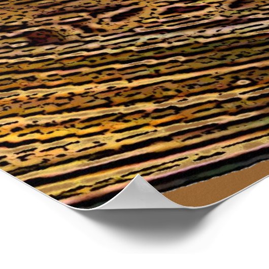 FENG SHUI WEALTH COINS ポスター (角)