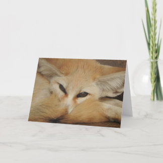 Fennecのキツネの挨拶状 カード
