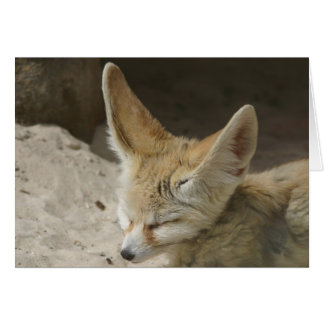 Fennecのキツネカード
