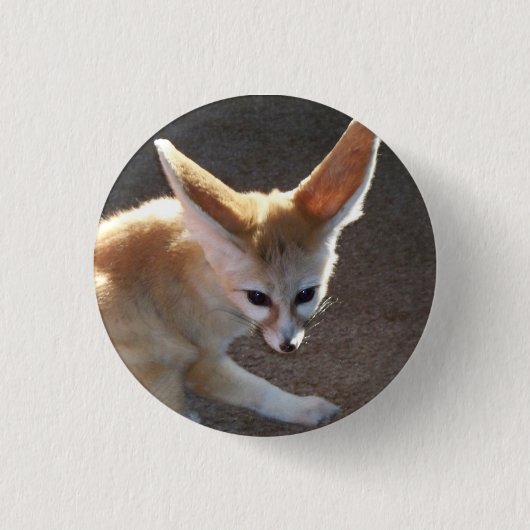 Fennecのキツネ 缶バッジ (正面)