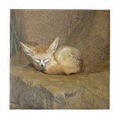 fennecの孤 タイル (正面)
