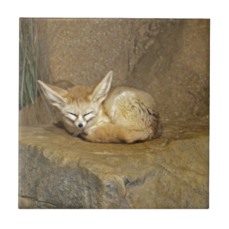 fennecの孤 タイル