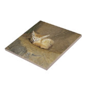 fennecの孤 タイル (側面)