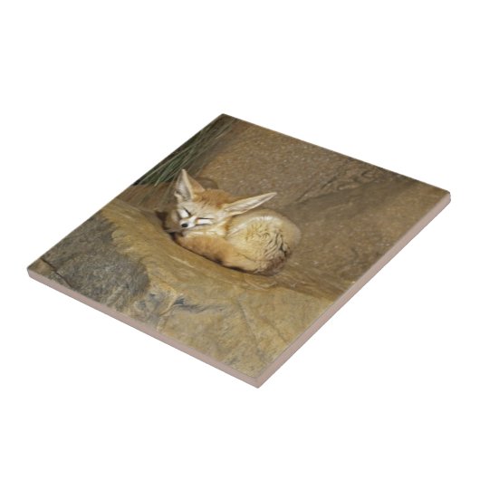 fennecの孤 タイル (側面)