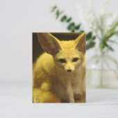Fennecキツネはがき ポストカード (スタンド正面)