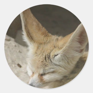 Fennecキツネステッカー ラウンドシール