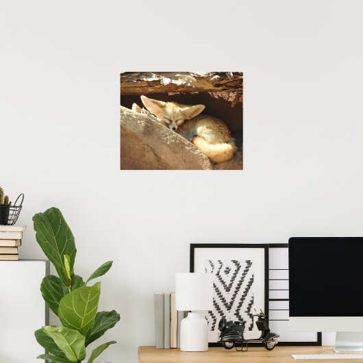 Fennec Fox ポスター (ホームオフィス)