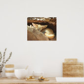 Fennec Fox ポスター (キッチン)