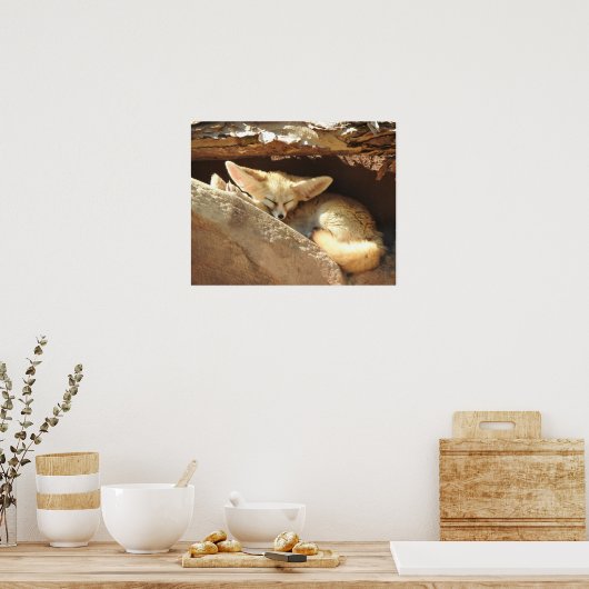 Fennec Fox ポスター (キッチン)