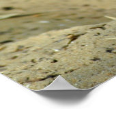 Fennec fox ポスター (角)