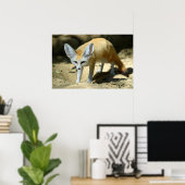 Fennec fox ポスター (ホームオフィス)