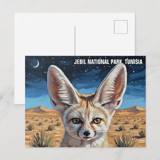 Fennec Fox in Jebil National Park Tunisia ポストカード (正面/裏面)
