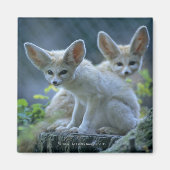 Fennek (Vulpes zerda) W_stenfuchs�, Fennec マグネット (正面)