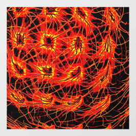 Fensteraufkleber ウィンドウサイン