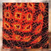 Fensteraufkleber ウィンドウサイン (シート2)