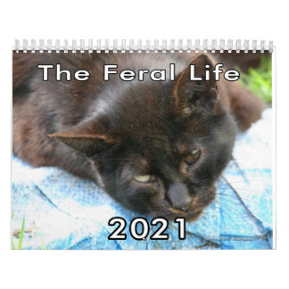 Feral Life Feral Cats Photo Calendar カレンダー