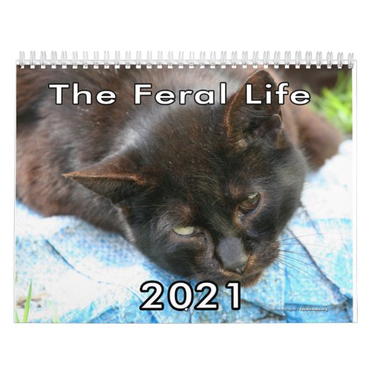 Feral Life Feral Cats Photo Calendar カレンダー (カバー)