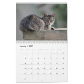 Feral Life Feral Cats Photo Calendar カレンダー (1月 2027)