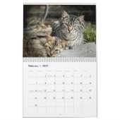 Feral Life Feral Cats Photo Calendar カレンダー (2月 2027)
