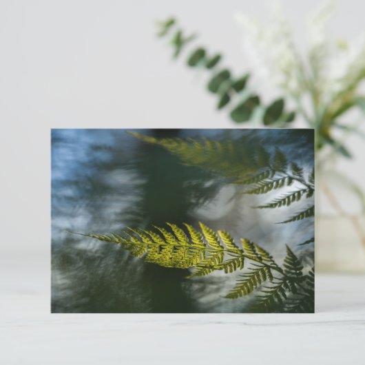 Fern自然フォトカード (スタンド正面)