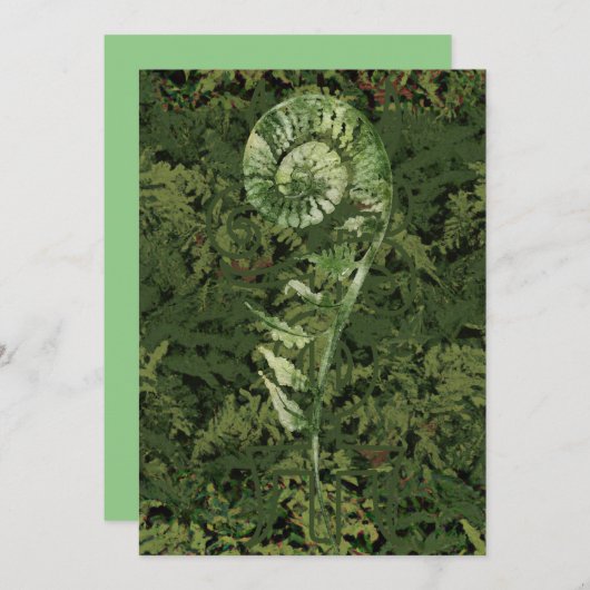 Fern シーズンカード (正面/裏面)