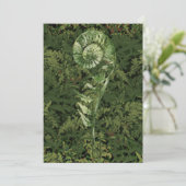 Fern シーズンカード (スタンド正面)