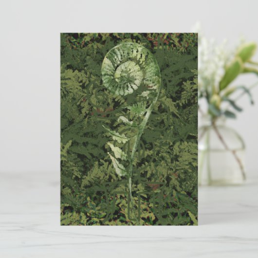 Fern シーズンカード (スタンド正面)