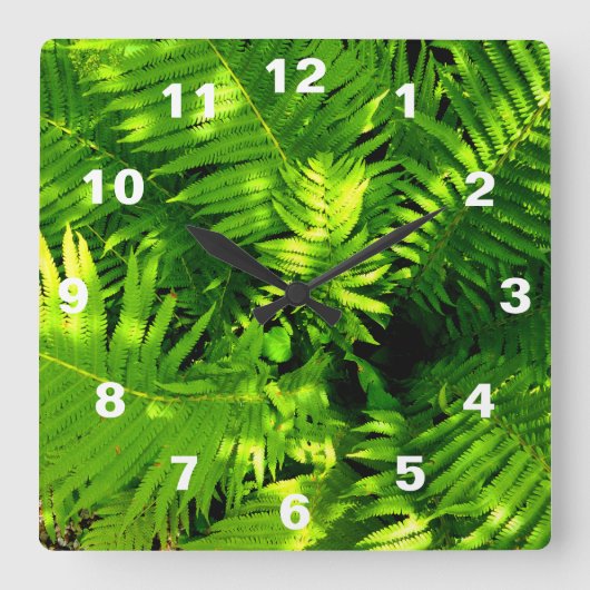 Fern スクエア壁時計 (正面)